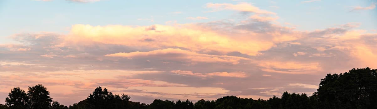 Sky panorama during sunset over forest with pastel colors sky and colorful clouds. Nature background