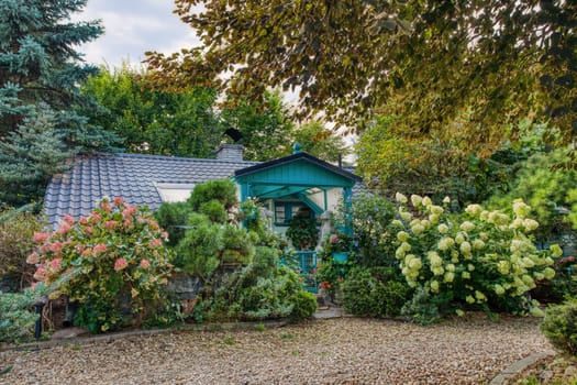 building situated in late summer evergreen garden, with conifers, trees and flower. Gardening concept