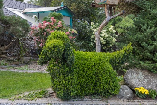 topiary garden bush cut into a dog shape, english cocker spaniel