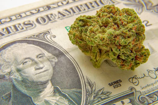 A Cannabis flower on an United Stated Of America Bill