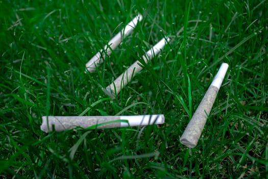 Pre-Rolls Cannabis Joints marijuana weed on a fresh lawn grass surface.