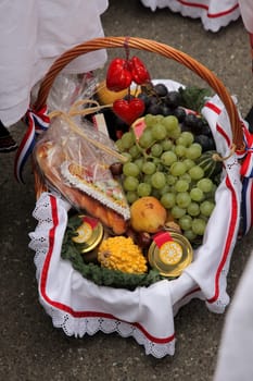 Autumn Harvest