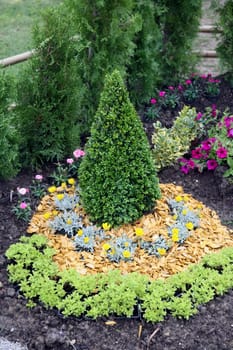 Flowers in garden