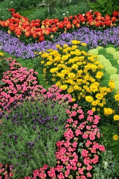 Flowers in garden