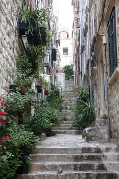 Street in Dubrovnik