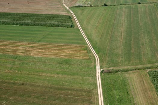 Meadows and fields. Aerial image.