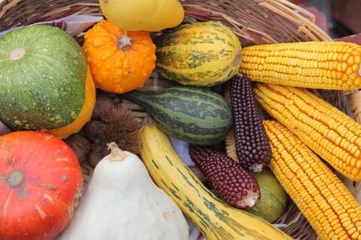 Autumn Harvest