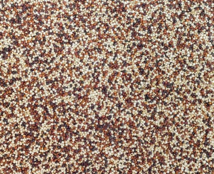 Mixed red, white and black quinoa as an abstract background texture. Seeds of uncooked quinoa. Superfood.