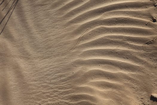 Wind textures on sand in Sahara