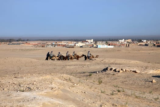 Caravan