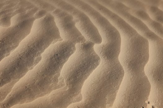 Wind textures on sand in Sahara