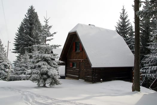 Wooden house