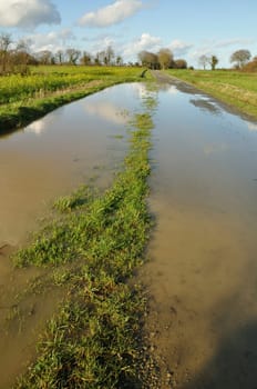 A flooded country lane in Brittany
