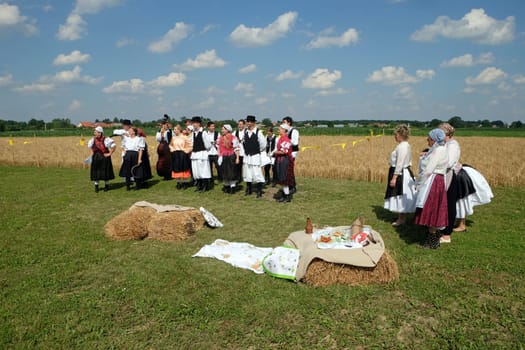 The harvest traditionally begins assembling villagers, singing and dancing and good food in Nedelisce, Croatia
