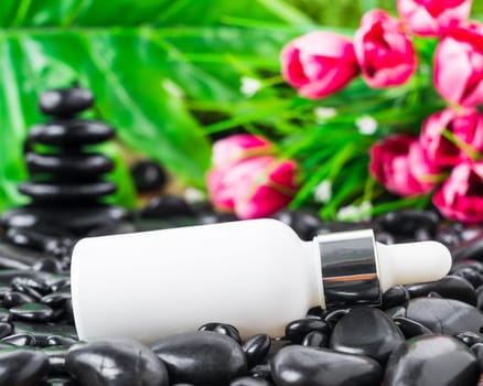 Thai Spa massage setting with serum oil whire bottle dropper mock up or essential oil on black stone against green leave background