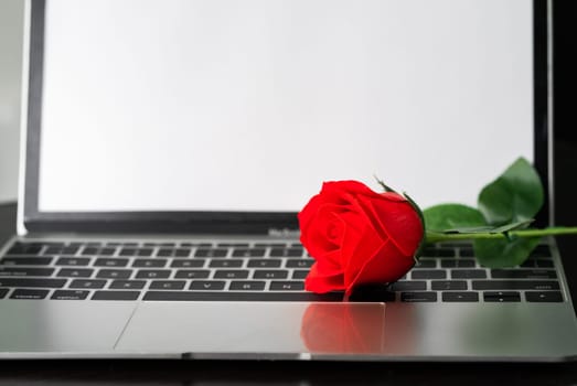 Red rose and the laptop on deck, Valentine concept