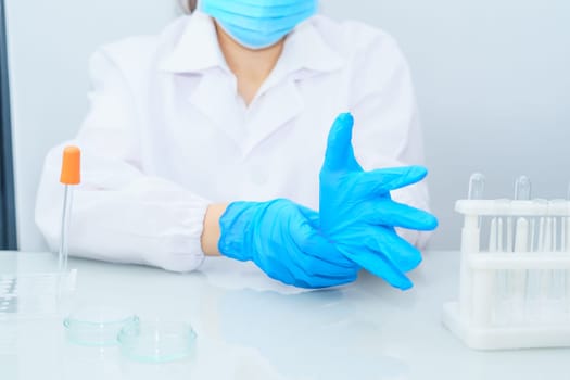 Close up Scientist hands putting in nitrile blue latex gloves in labcoat wearing nitrile gloves, doing experiments in lab