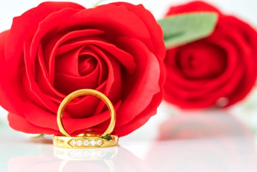 Close up Red roses on white background, Wedding concept with roses and gold rings