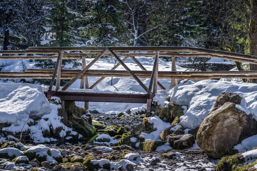 Wooden foot bridge over stream in pine forest covered in snow at foothill of Kasprowy Wierch mountain in Tatra Mountains, Poland
