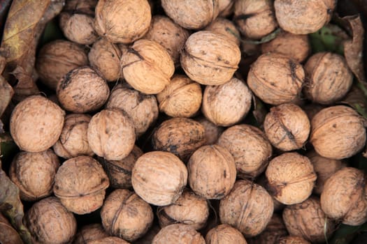 Walnuts