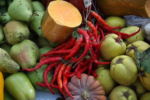 Autumn Harvest