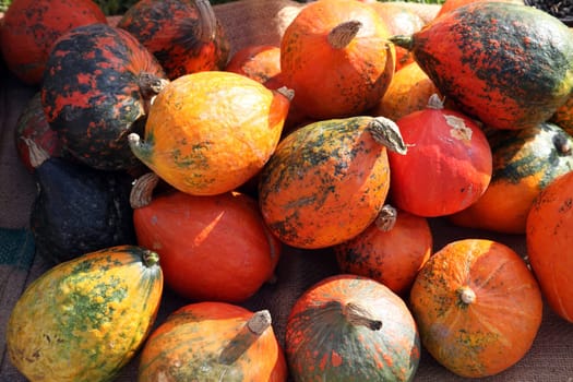 Pumpkins