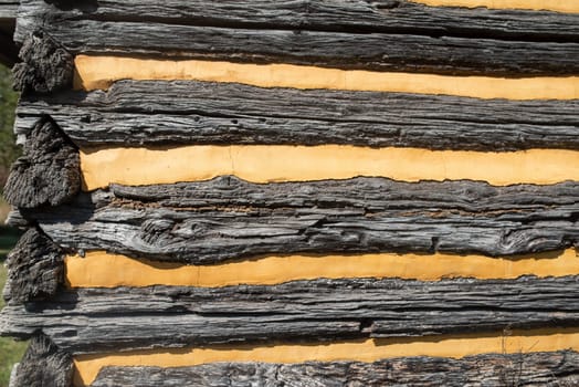 Log cabin at the historic Daniel Boone Homestead in Pennsylvania, built in 1730. Full frame image in natural sunlight shows texture in ancient logs and smooth golden yellow plaster chinking.