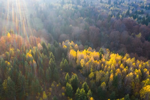Colorful magic autumn mountain landscape.
