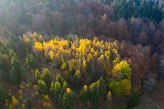 Colorful magic autumn mountain landscape.