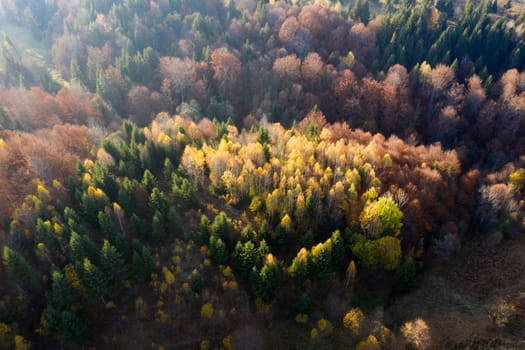 Colorful magic autumn mountain landscape.