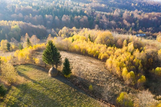 Colorful magic autumn mountain landscape.