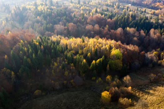 Colorful magic autumn mountain landscape.