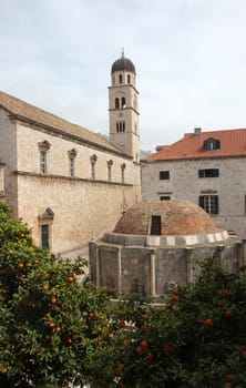 Dubrovnik, Franciscan Monastery and Big Onofrio fountain