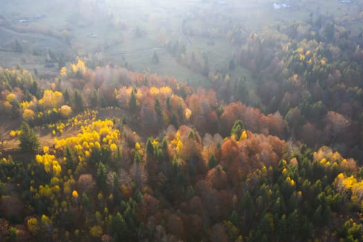 Colorful magic autumn mountain landscape.