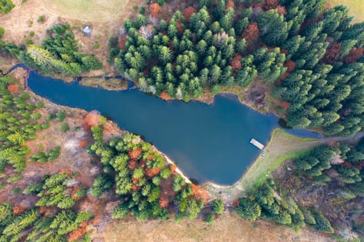 Small lake in autumn pine forest - aerial view.