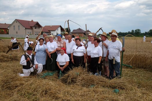 Farmers posing in the field during harvest in Trnovec, Croatia