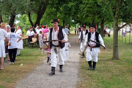 Farmers enter the harvest in Trnovec, Croatia