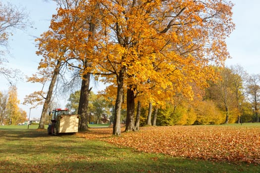 Vacuum sweeper towed by a tractor work in autumn park. Collect leafs.