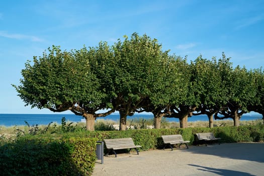Beach promenade with park benches in the German Baltic seaside resort Bansin on the island of Usedom