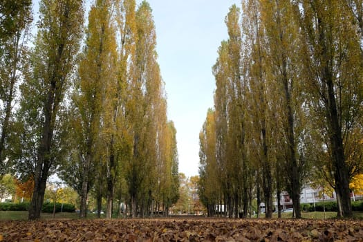 Park in Malesnica residential area, Zagreb, Croatia
