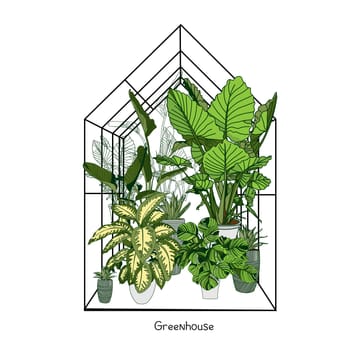 Greenhouse illustration on white background. flower house. Winter Garden. Gardening and truck farming concept. Exotic houseplant.
