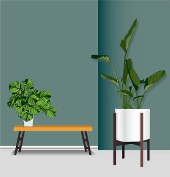 Vector Houseplants in a container for indoor use as a house plant in pots. Home gardening concept. Modern flat vector illustration.