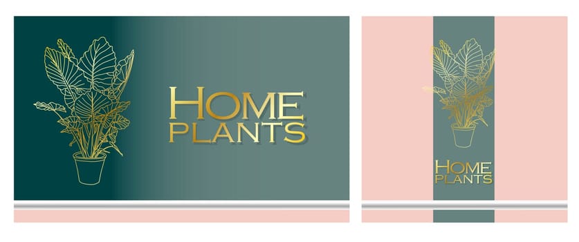 Modern trendy plants in the interior. The concept of gardening and plant cultivation.