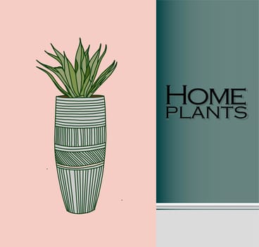 Vector Houseplants in a container for indoor use as a house plant in pots. Home gardening concept. Modern flat vector illustration.