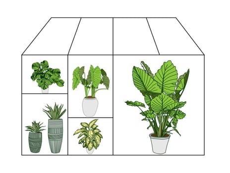 Flower greenhouse or greenhouse. Winter Garden. Gardening and truck farming concept.