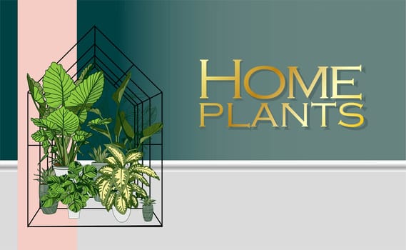 Modern trendy plants in the interior. The concept of gardening and plant cultivation.