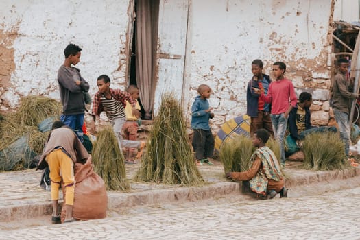 AKSUM, ETHIOPIA, APRIL 27th. 2019, Teenager selling stacks of traditional Ethiopian Grass for sale in a market. The grass is used in the Ethiopian coffee ceremony. April 27th. 2019, Aksum, Ethiopia