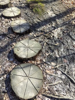 Round tree trunk cross-sections form a natural walkway on a meditative forest trail with texture, leaves, sticks, mud and moss