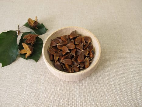 Beechnuts from the European beech in a wooden bowl