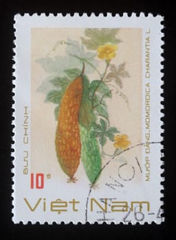 Stamp printed in Vietnam shows a Momordica charantia, series, circa 1989.